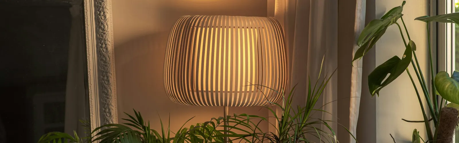 Light, texture and detail
