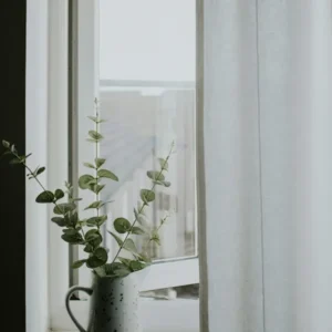 ستارة «سكينة» المعتمة